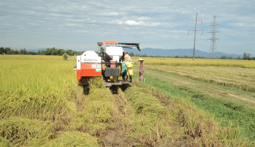 Thăng Bình - 40 năm xây dựng và phát triển