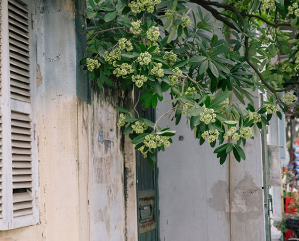 Vời xa