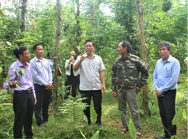 Sáu thập kỷ nhắc mãi Chiến thắng Hà Châu - An Lý