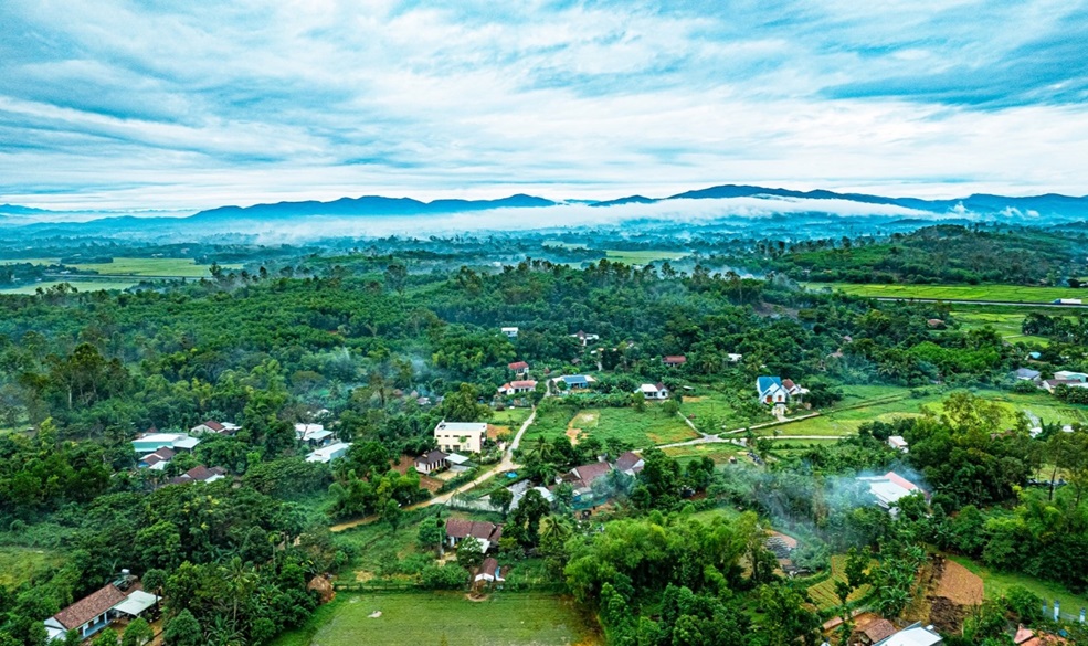 Quy định đơn giá bồi thường thiệt hại đối với cây trồng, vật nuôi khi Nhà nước thu hồi đất trên địa bàn tỉnh Quảng Nam